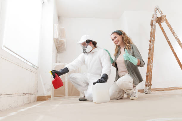 Best Mold Odor Removal Services  in North Apollo, PA